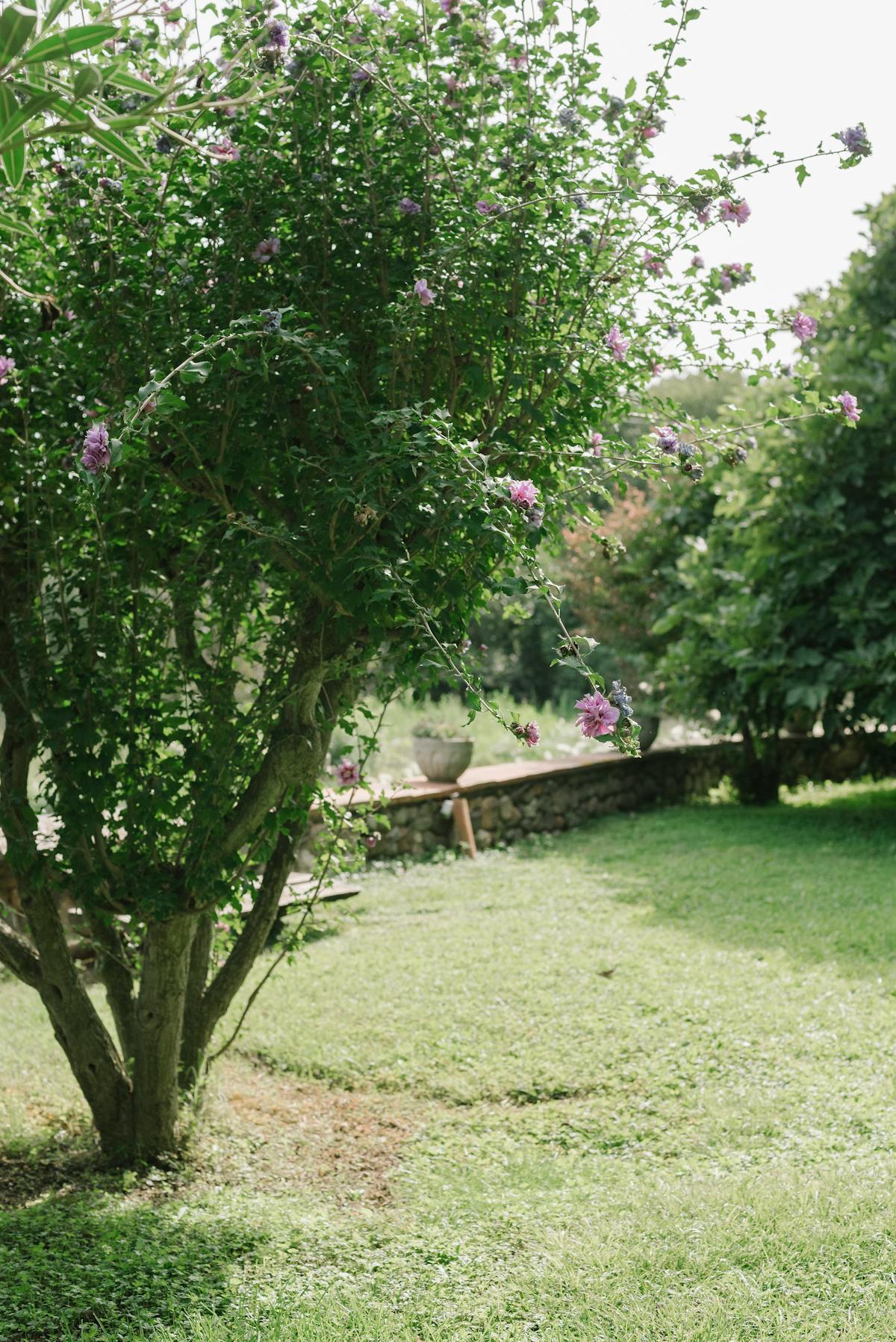 Jardin méditerranéen aménagé à Nice